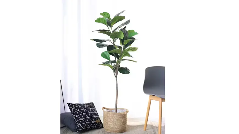 Soga Artificial Qin Yerong Tree 155cm Soga Artificial Qin Yerong Tree 155cm