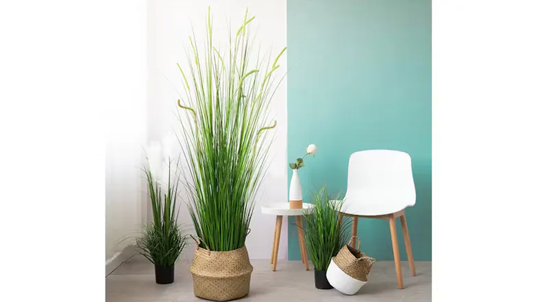 Soga Artificial Potted Reed Grass 150cm Soga Artificial Potted Reed Grass 150cm