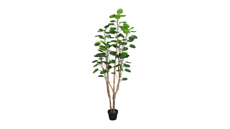 Soga Artificial Pocket Money Tree 180cm Soga Artificial Pocket Money Tree 180cm