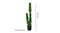 Soga Arificial Cactus Plant 2 Heads 95cm Soga Arificial Cactus Plant 2 Heads 95cm