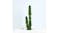 Soga Arificial Cactus Plant 2 Heads 95cm Soga Arificial Cactus Plant 2 Heads 95cm