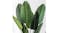 Soga Artificial Banana Plant 180cm Soga Artificial Banana Plant 180cm