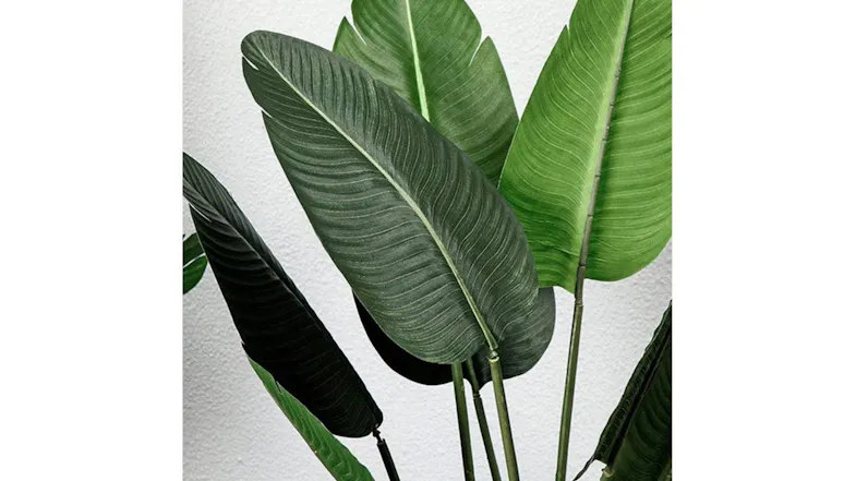Soga Artificial Banana Plant 180cm Soga Artificial Banana Plant 180cm