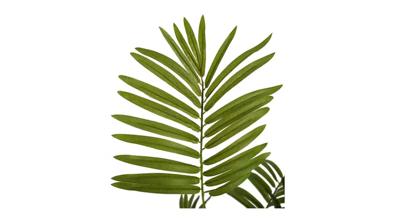 Soga Artificial Rogue Areca Palm Tree 160cm Soga Artificial Rogue Areca Palm Tree 160cm