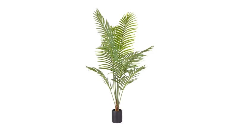 Soga Artificial Rogue Areca Palm Tree 210cm Soga Artificial Rogue Areca Palm Tree 210cm