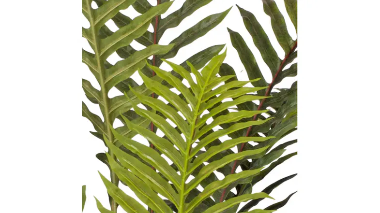 Soga Artificial Foot Fern Plant 210cm Soga Artificial Foot Fern Plant 210cm
