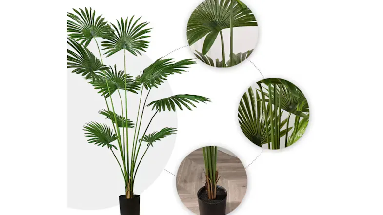 Soga Artificial Fan Palm Plant 180cm Soga Artificial Fan Palm Plant 180cm
