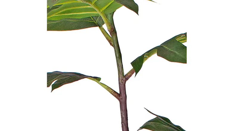 Soga 60cm Artificial Philodendron Plant Soga 60cm Artificial Philodendron Plant