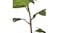 Soga 90cm Artificial Philodendron Plant Soga 90cm Artificial Philodendron Plant