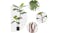 Soga 2-Trunk Artificial Philodendron Plant 90cm Soga 2-Trunk Artificial Philodendron Plant 90cm