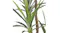 Soga Artificial Yucca Plant 150cm Soga Artificial Yucca Plant 150cm
