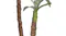 Soga Artificial Yucca Plant 150cm Soga Artificial Yucca Plant 150cm