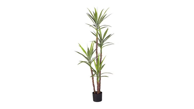 Soga Artificial Yucca Plant 180cm Soga Artificial Yucca Plant 180cm