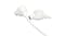 JBL Tune 135BT Wireless In-Ear Headphones - White (JBLT135BTWHT) JBL Tune 135BT Wireless In-Ear Headphones - White (JBLT135BTWHT)