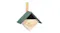 A wooden NNEVL birdhouse with a green gabled roof and an open front A wooden NNEVL birdhouse with a green gabled roof and an open front