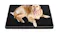TSB Living Memory Foam Pet Bed Extra Large - A5 TSB Living Memory Foam Pet Bed Extra Large - A5