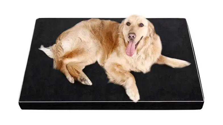 TSB Living Memory Foam Pet Bed Extra Large - A5 TSB Living Memory Foam Pet Bed Extra Large - A5