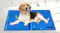 A dog lies relaxed and happy on a blue cooling mat. A dog lies relaxed and happy on a blue cooling mat.