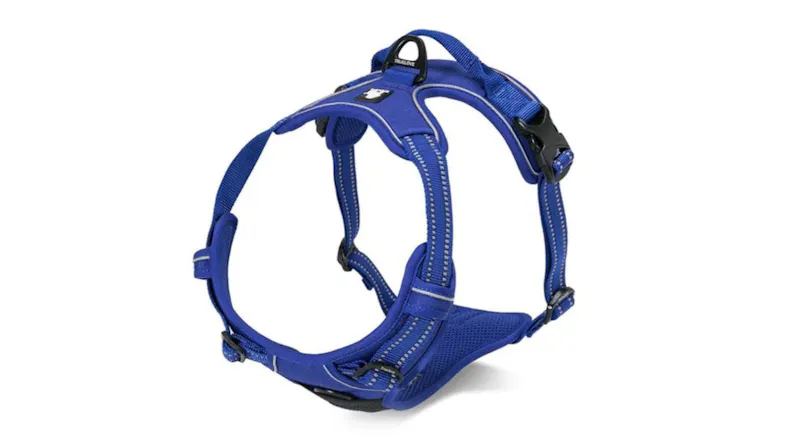 A blue dog harness with reflective stitching, adjustable straps, top handle, and black plastic buckle. A blue dog harness with reflective stitching, adjustable straps, top handle, and black plastic buckle.