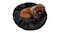 A dog with curly fur lies comfortably on a round, fluffy black pet bed. A dog with curly fur lies comfortably on a round, fluffy black pet bed.