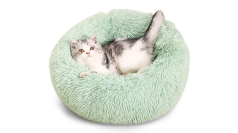 A kitten lies comfortably on a round, fluffy avocado green pet bed. A kitten lies comfortably on a round, fluffy avocado green pet bed.