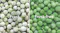 Comparison of frosted peas and frost-free peas in freezer storage Comparison of frosted peas and frost-free peas in freezer storage