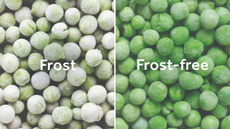 Comparison of frosted peas and frost-free peas in freezer storage Comparison of frosted peas and frost-free peas in freezer storage