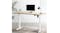 A motorised standing desk in an indoor setup A motorised standing desk in an indoor setup
