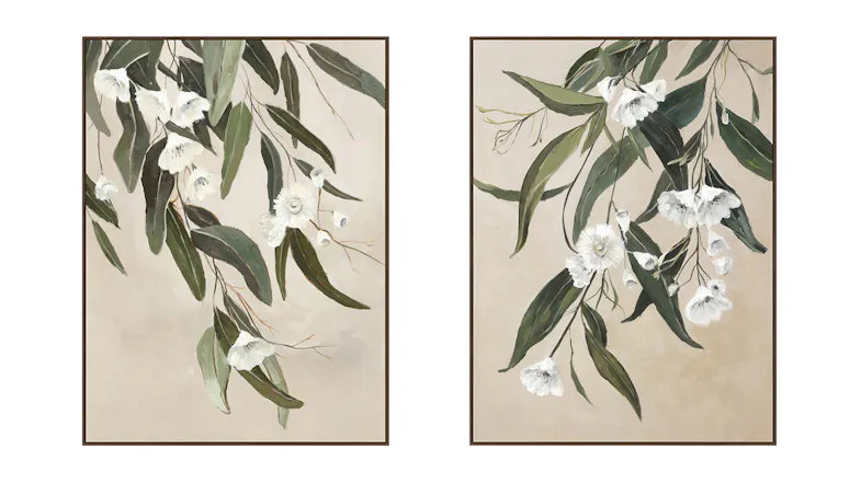 Two paintings of eucalyptus branches with white flowers against beige background. Two paintings of eucalyptus branches with white flowers against beige background.