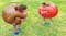 Two kids outdoors wearing large inflatable bumper balls, one brown with a ram face and one red with a bull face, ready to bump Two kids outdoors wearing large inflatable bumper balls, one brown with a ram face and one red with a bull face, ready to bump