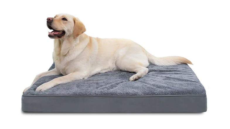 An egg foam cake with a dog lying on it An egg foam cake with a dog lying on it