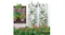 Outdoor garden trellises with climbing plants and purple flowers next to a wall-mounted flower display Outdoor garden trellises with climbing plants and purple flowers next to a wall-mounted flower display