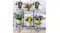 Plant stand indoors near a window, decorated with colourful flowering plants in assorted pots Plant stand indoors near a window, decorated with colourful flowering plants in assorted pots