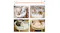 Customer feedback shows the white elevated pet bed used by various small dogs and two cats Customer feedback shows the white elevated pet bed used by various small dogs and two cats