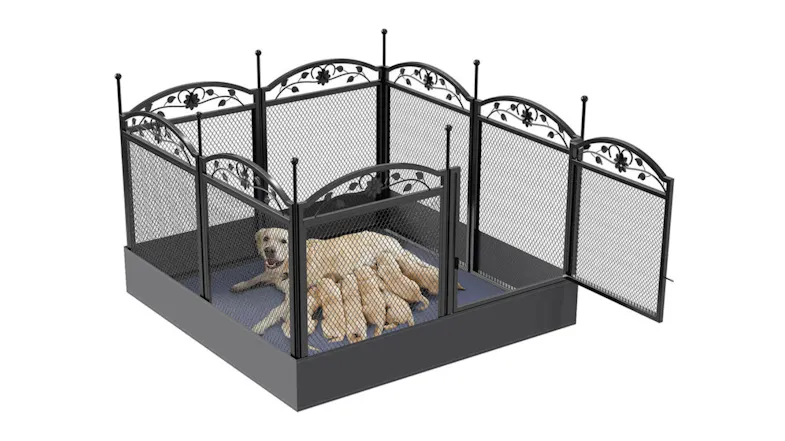 A view of the dog playpen with a mama dog and her puppies resting inside A view of the dog playpen with a mama dog and her puppies resting inside