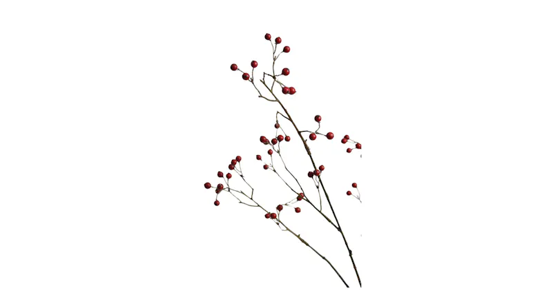 Detailed view of the artificial red berries and textured brown branches of the Long Berry spray Detailed view of the artificial red berries and textured brown branches of the Long Berry spray