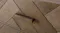 A close up view of the bedside table's herringbone pattern A close up view of the bedside table's herringbone pattern