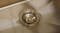 A close-up of the gold stainless steel sink drain strainer A close-up of the gold stainless steel sink drain strainer