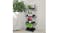 Four-tier black metal plant shelf holding potted plants beside a sofa and an indoor tree in a bright room Four-tier black metal plant shelf holding potted plants beside a sofa and an indoor tree in a bright room