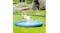 A dog jumping on a splash pad in a grassy yard with water spraying A dog jumping on a splash pad in a grassy yard with water spraying