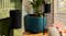 Two black Sonos speakers mounted on tall, slim floor stands near a plant Two black Sonos speakers mounted on tall, slim floor stands near a plant