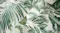 Close-up view of a green tropical leaf print cover set Close-up view of a green tropical leaf print cover set