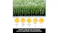 Close-up side view of dense artificial grass with icons for UV, wear, and softness benefits Close-up side view of dense artificial grass with icons for UV, wear, and softness benefits