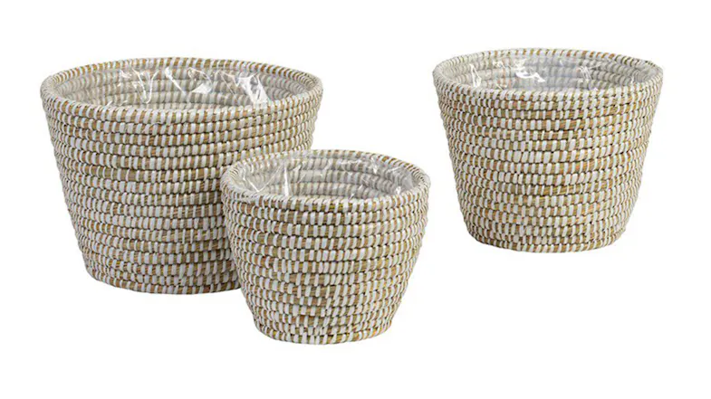 A Kans Grass Round Planters Set of 3pcs A Kans Grass Round Planters Set of 3pcs