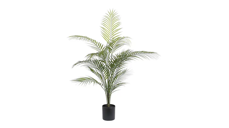 An Areca 91cm Palm Potted Plant in a sleek green colour An Areca 91cm Palm Potted Plant in a sleek green colour