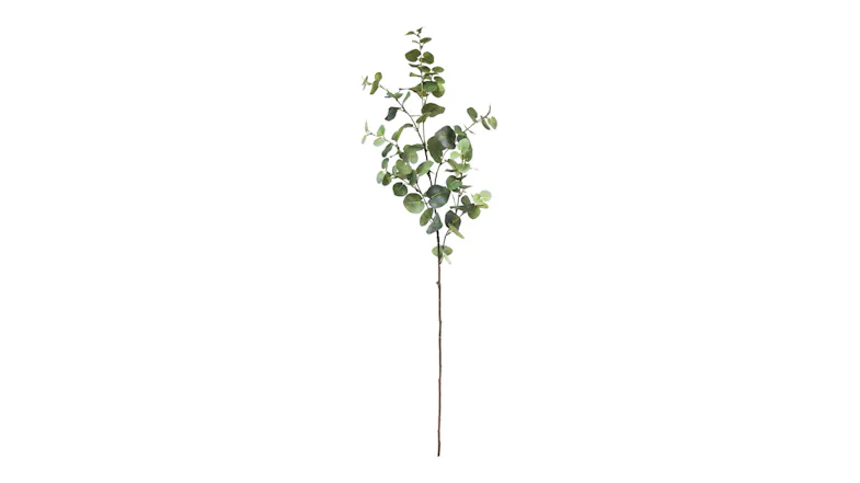 A Eucalyptus 100cm Flower Spray in a sleek green colour A Eucalyptus 100cm Flower Spray in a sleek green colour