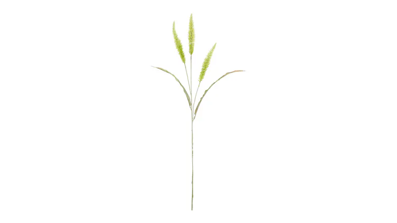 A Fountain Grass 94cm Flower Spray in a sleek sage green colour A Fountain Grass 94cm Flower Spray in a sleek sage green colour