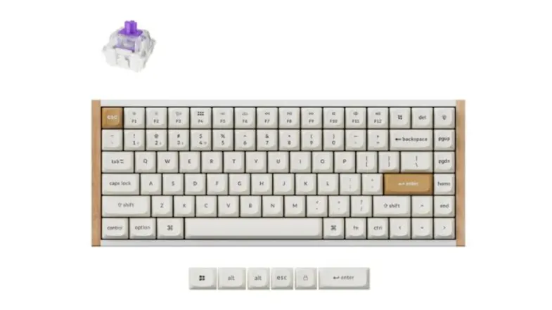 Compact Keychron K2 HE wireless QMK 75% mechanical keyboard with beige keycaps, wooden frame, and a purple switch shown above it Compact Keychron K2 HE wireless QMK 75% mechanical keyboard with beige keycaps, wooden frame, and a purple switch shown above it