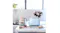 Pastel blue toaster and floral kettle on a white marble counter Pastel blue toaster and floral kettle on a white marble counter