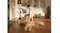 Wide lifestyle scene of an artist's workspace with the robotic vacuum cleaning the floor nearby Wide lifestyle scene of an artist's workspace with the robotic vacuum cleaning the floor nearby